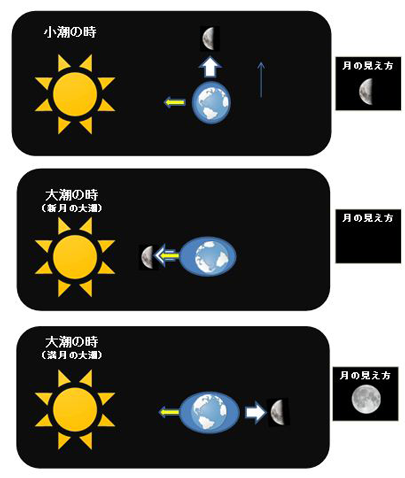 月齢による時合い02