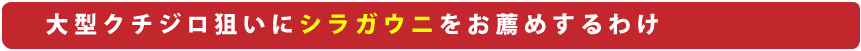 シラガウニをお薦めするわけ
